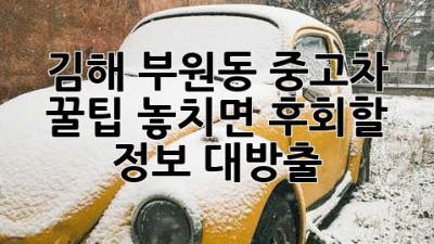 김해 부원동 중고차 꿀팁🍯: 놓치면 후회할 정보 대방출!